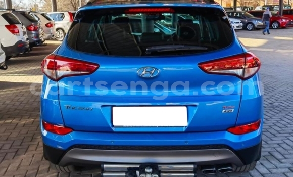 Nunua Ilio tumika Hyundai Tucson Blue Gari ndani ya Bulembu nchini Hhohho Nunua Ilio tumika Hyundai Tucson Blue Gari ndani ya Bulembu nchini Hhohho