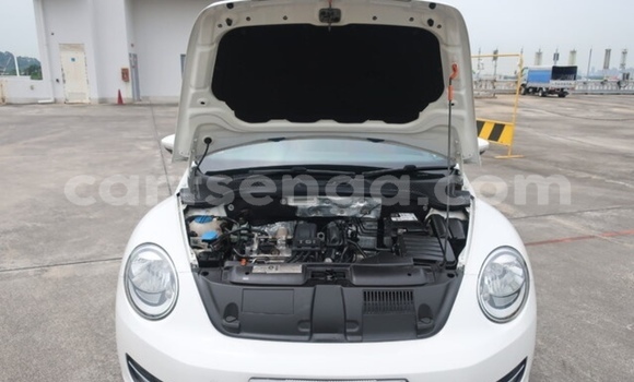 Buy Used Volkswagen Beetle White Car in Big Bend in Lubombo District Buy Used Volkswagen Beetle White Car in Big Bend in Lubombo District