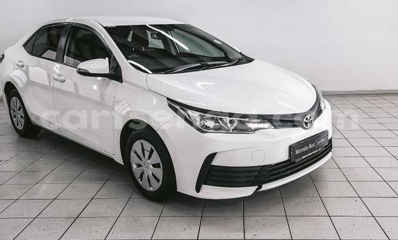 Buy Used Toyota Corolla White Car in Big Bend in Lubombo District Buy Used Toyota Corolla White Car in Big Bend in Lubombo District