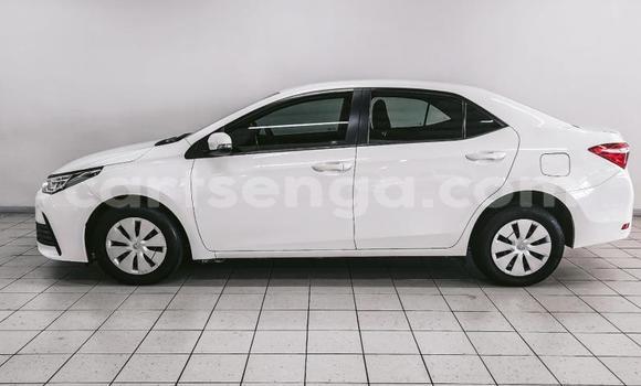 Acheter Occasion Voiture Toyota Corolla Blanc à Big Bend, Lubombo District Acheter Occasion Voiture Toyota Corolla Blanc à Big Bend, Lubombo District
