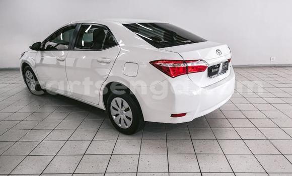 Acheter Occasion Voiture Toyota Corolla Blanc à Big Bend, Lubombo District Acheter Occasion Voiture Toyota Corolla Blanc à Big Bend, Lubombo District