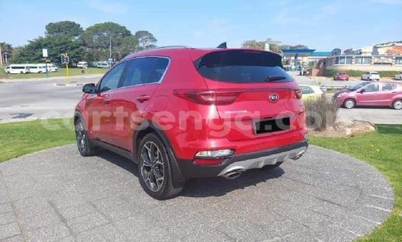 Buy Used Kia Sportage Red Car in Mbabane in Manzini Buy Used Kia Sportage Red Car in Mbabane in Manzini