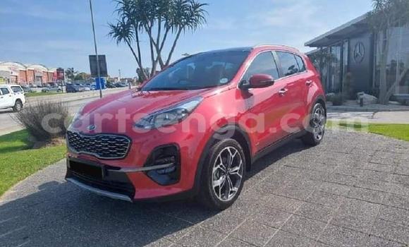 Buy Used Kia Sportage Red Car in Mbabane in Manzini Buy Used Kia Sportage Red Car in Mbabane in Manzini