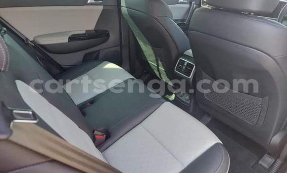 Buy Used Kia Sportage Red Car in Mbabane in Manzini Buy Used Kia Sportage Red Car in Mbabane in Manzini