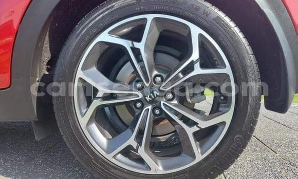 Buy Used Kia Sportage Red Car in Mbabane in Manzini Buy Used Kia Sportage Red Car in Mbabane in Manzini