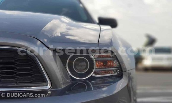 Buy Import Ford Mustang Other Car in Import - Dubai in Hhohho Buy Import Ford Mustang Other Car in Import - Dubai in Hhohho