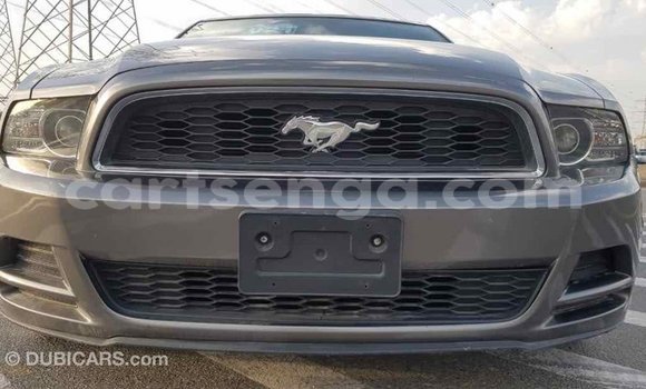 Buy Import Ford Mustang Other Car in Import - Dubai in Hhohho Buy Import Ford Mustang Other Car in Import - Dubai in Hhohho