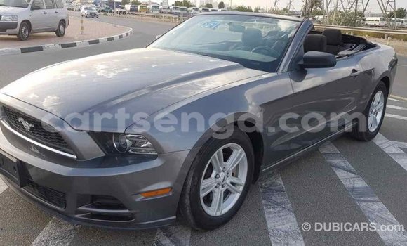 Buy Import Ford Mustang Other Car in Import - Dubai in Hhohho Buy Import Ford Mustang Other Car in Import - Dubai in Hhohho