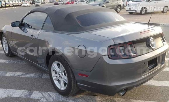 Buy Import Ford Mustang Other Car in Import - Dubai in Hhohho Buy Import Ford Mustang Other Car in Import - Dubai in Hhohho