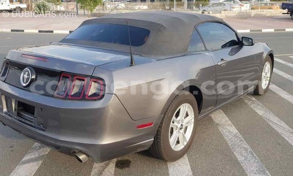 Buy Import Ford Mustang Other Car in Import - Dubai in Hhohho Buy Import Ford Mustang Other Car in Import - Dubai in Hhohho