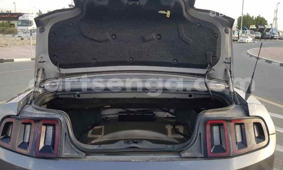 Buy Import Ford Mustang Other Car in Import - Dubai in Hhohho Buy Import Ford Mustang Other Car in Import - Dubai in Hhohho