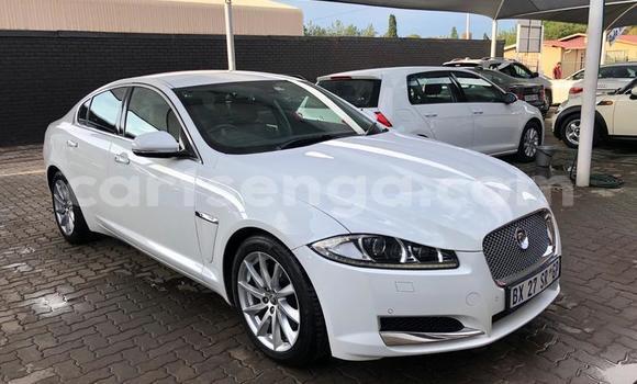 Buy Used Jaguar XF White Car in Manzini in Manzini
