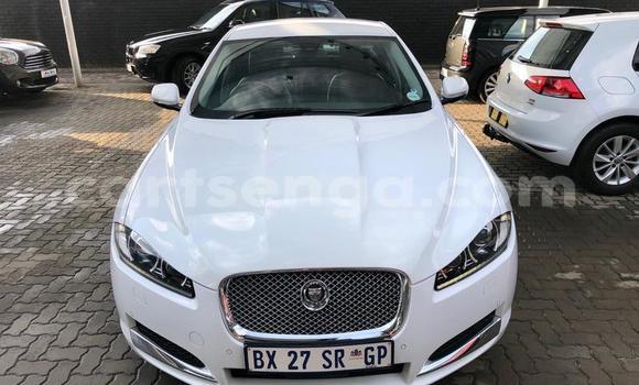 Buy Used Jaguar XF White Car in Manzini in Manzini Buy Used Jaguar XF White Car in Manzini in Manzini