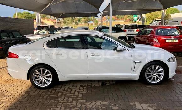 Buy Used Jaguar XF White Car in Manzini in Manzini Buy Used Jaguar XF White Car in Manzini in Manzini