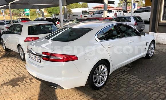 Buy Used Jaguar XF White Car in Manzini in Manzini Buy Used Jaguar XF White Car in Manzini in Manzini