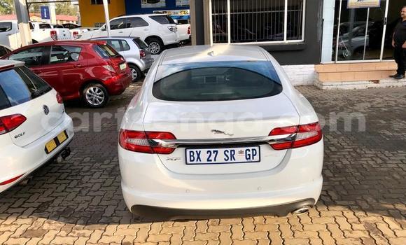 Buy Used Jaguar XF White Car in Manzini in Manzini Buy Used Jaguar XF White Car in Manzini in Manzini