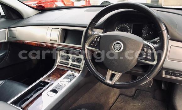 Buy Used Jaguar XF White Car in Manzini in Manzini Buy Used Jaguar XF White Car in Manzini in Manzini