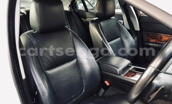 Buy Used Jaguar XF White Car in Manzini in Manzini Buy Used Jaguar XF White Car in Manzini in Manzini