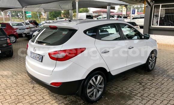 Buy Used Hyundai ix35 White Car in Manzini in Manzini Buy Used Hyundai ix35 White Car in Manzini in Manzini