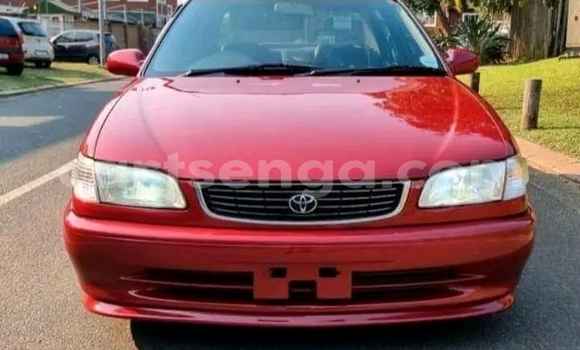 Buy Used Toyota Corolla Red Car in Mbabane in Manzini Buy Used Toyota Corolla Red Car in Mbabane in Manzini