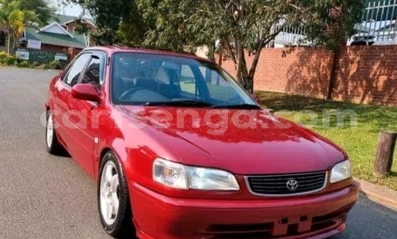 Buy Used Toyota Corolla Red Car in Mbabane in Manzini Buy Used Toyota Corolla Red Car in Mbabane in Manzini