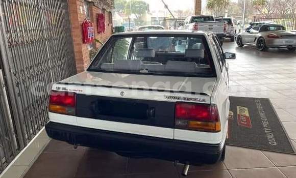 Buy Used Toyota Corolla Other Car in Mbabane in Manzini Buy Used Toyota Corolla Other Car in Mbabane in Manzini