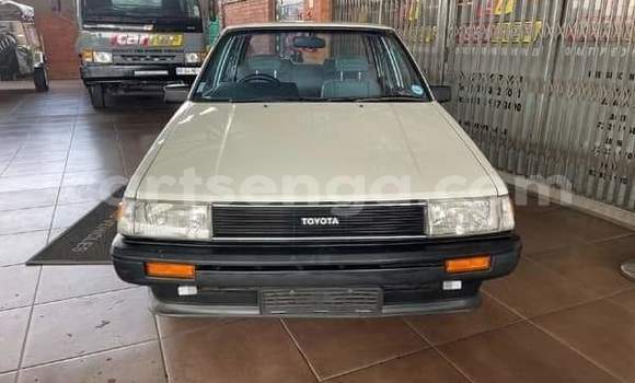 Buy Used Toyota Corolla Other Car in Mbabane in Manzini Buy Used Toyota Corolla Other Car in Mbabane in Manzini