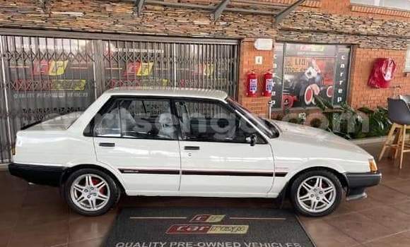 Buy Used Toyota Corolla Other Car in Mbabane in Manzini Buy Used Toyota Corolla Other Car in Mbabane in Manzini