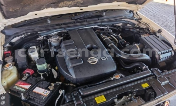 Nunua Ilio tumika Nissan Navara White Gari ndani ya Tabankulu nchini Wilaya ya Lubombo Nunua Ilio tumika Nissan Navara White Gari ndani ya Tabankulu nchini Wilaya ya Lubombo