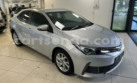 Acheter Occasion Voiture Toyota Corolla Gris à Ezulwini, Hhohho Acheter Occasion Voiture Toyota Corolla Gris à Ezulwini, Hhohho
