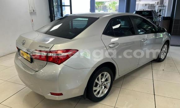 Acheter Occasion Voiture Toyota Corolla Gris à Ezulwini, Hhohho Acheter Occasion Voiture Toyota Corolla Gris à Ezulwini, Hhohho