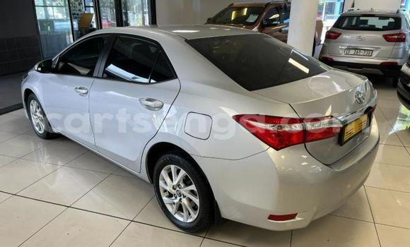 Acheter Occasion Voiture Toyota Corolla Gris à Ezulwini, Hhohho Acheter Occasion Voiture Toyota Corolla Gris à Ezulwini, Hhohho