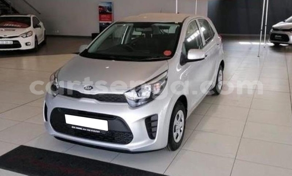 Acheter Occasion Voiture Kia Picanto Gris à Siteki, Lubombo District