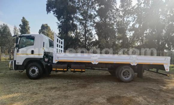 Acheter Occasion Utilitaire Isuzu FTR 850 Blanc à Mbabane, Manzini Acheter Occasion Utilitaire Isuzu FTR 850 Blanc à Mbabane, Manzini