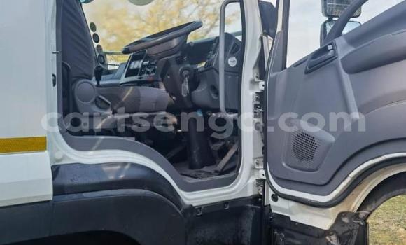 Acheter Occasion Utilitaire Isuzu FTR 850 Blanc à Mbabane, Manzini Acheter Occasion Utilitaire Isuzu FTR 850 Blanc à Mbabane, Manzini