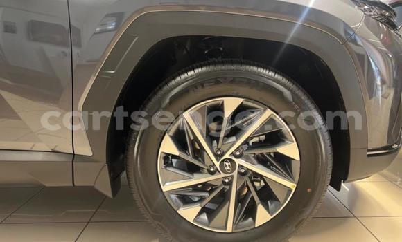 Nunua Ilio tumika Audi RS4 Other Gari ndani ya Mbabane nchini Manzini Nunua Ilio tumika Audi RS4 Other Gari ndani ya Mbabane nchini Manzini