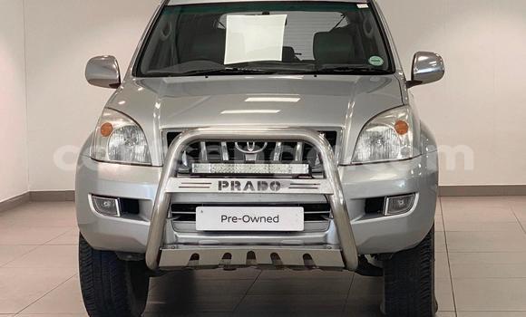 Acheter Occasion Voiture Toyota Land Cruiser Prado Gris à Ezulwini, Hhohho Acheter Occasion Voiture Toyota Land Cruiser Prado Gris à Ezulwini, Hhohho