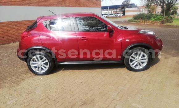 Buy Used Nissan Juke Red Car in Mbabane in Manzini Buy Used Nissan Juke Red Car in Mbabane in Manzini