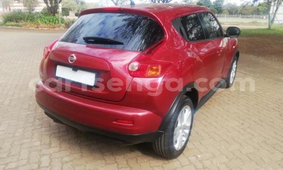 Buy Used Nissan Juke Red Car in Mbabane in Manzini Buy Used Nissan Juke Red Car in Mbabane in Manzini