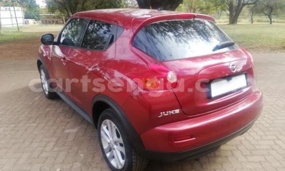 Buy Used Nissan Juke Red Car in Mbabane in Manzini Buy Used Nissan Juke Red Car in Mbabane in Manzini