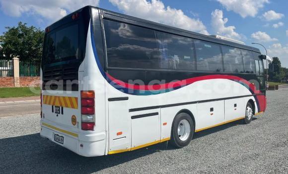 Buy Used Mercedes‒Benz Unimog Other Truck in Mbabane in Manzini Buy Used Mercedes‒Benz Unimog Other Truck in Mbabane in Manzini