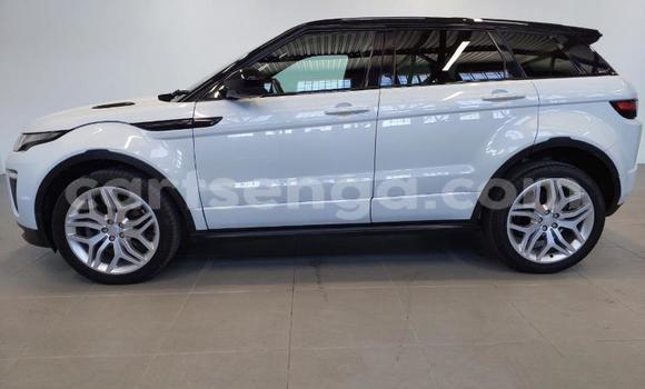 Buy Used Land Rover Range Rover Evoque White Car in Mbabane in Manzini Buy Used Land Rover Range Rover Evoque White Car in Mbabane in Manzini