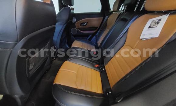 Buy Used Land Rover Range Rover Evoque White Car in Mbabane in Manzini Buy Used Land Rover Range Rover Evoque White Car in Mbabane in Manzini