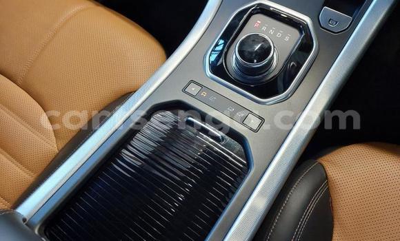 Buy Used Land Rover Range Rover Evoque White Car in Mbabane in Manzini Buy Used Land Rover Range Rover Evoque White Car in Mbabane in Manzini