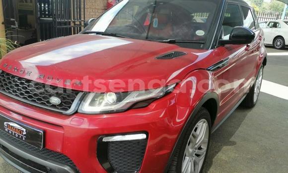 Buy Used Land Rover Range Rover Evoque Red Car in Ezulwini in Hhohho Buy Used Land Rover Range Rover Evoque Red Car in Ezulwini in Hhohho