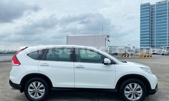 Buy Used Honda CR–V White Car in Pigg's Peak in Hhohho Buy Used Honda CR–V White Car in Pigg's Peak in Hhohho