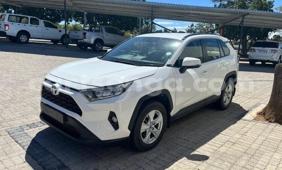Buy Used Toyota RAV4 White Car in Big Bend in Lubombo District Buy Used Toyota RAV4 White Car in Big Bend in Lubombo District