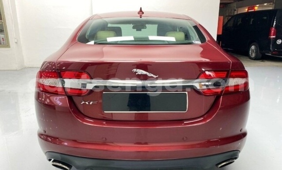 Acheter Occasion Voiture Jaguar XF Beige à Big Bend, Lubombo District Acheter Occasion Voiture Jaguar XF Beige à Big Bend, Lubombo District