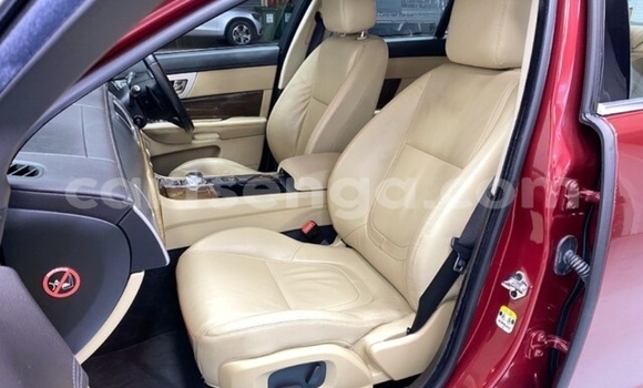 Acheter Occasion Voiture Jaguar XF Beige à Big Bend, Lubombo District Acheter Occasion Voiture Jaguar XF Beige à Big Bend, Lubombo District