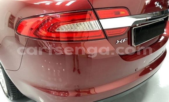 Acheter Occasion Voiture Jaguar XF Beige à Big Bend, Lubombo District Acheter Occasion Voiture Jaguar XF Beige à Big Bend, Lubombo District